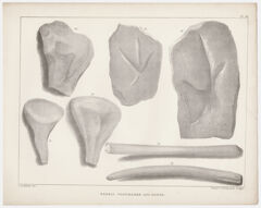 Thumbnail for J. Peckham plate, "Fossil footmarks and bones," 1841