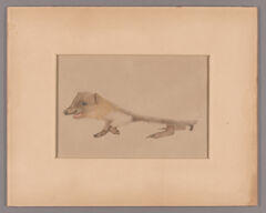 Thumbnail for Henry John Van Lennep watercolor drawing of a hedgehog - Image 1