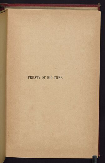 Thumbnail for A history of the treaty of Big Tree: and an account of the celebration of the one hundredth anniversary of the making of the…