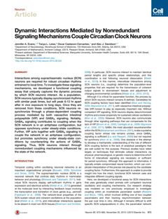 Thumbnail for Dynamic interactions mediated by non-redundant signaling mechanisms couple circadian clock neurons