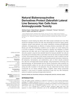 Thumbnail for Natural bizbenzoquinoline derivatives protect zebrafish lateral line sensory hair cells from aminoglycoside toxicity