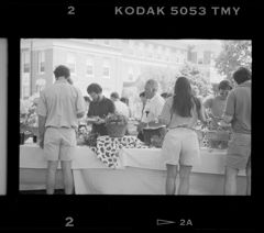 Thumbnail for Photographs of a staff picnic on the Valentine Quad, 1992 June - Image 1