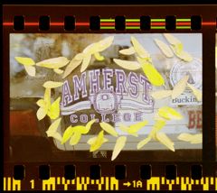 Thumbnail for Photographs of campus in the fall, 2000 October - Image 1