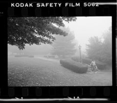 Thumbnail for Photographs of campus with morning mist, 1979 October 2 - Image 1