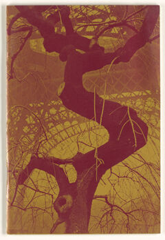 Thumbnail for Amherst literary magazine, 1973 spring - Image 1