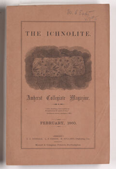 Thumbnail for The ichnolite, 1860 February - Image 1