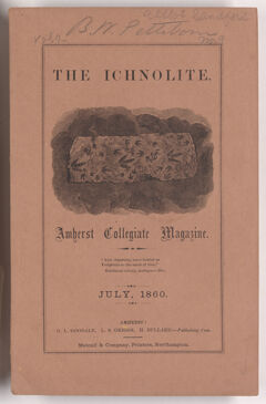 Thumbnail for The ichnolite, 1860 July - Image 1