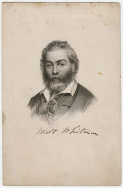 Thumbnail for Walt Whitman, head-and-shoulders portrait, 1859 - Image 1