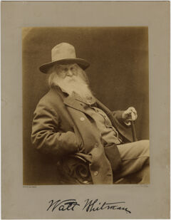 Thumbnail for Walt Whitman, three-quarter length portrait, seated, 1887